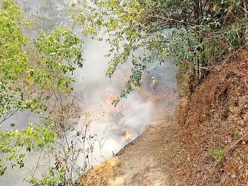Onda de calor e incendios ponen a arder al país; extinguen quema en Acapulco