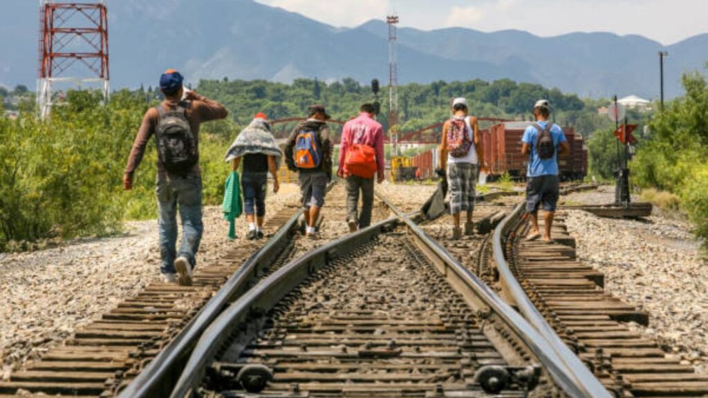 Reconocen senadores que lentamente el fenómeno migratorio se ha incrementado