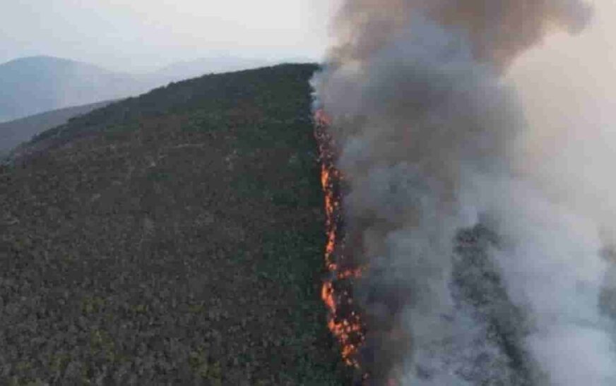 Se reactiva incendio en Tepelmeme y afecta reserva natural protegida de Oaxaca