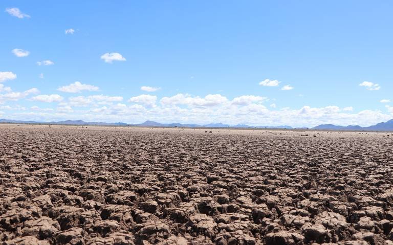 Sequía extrema en Sonora: nivel de presas baja a 9 por ciento del total