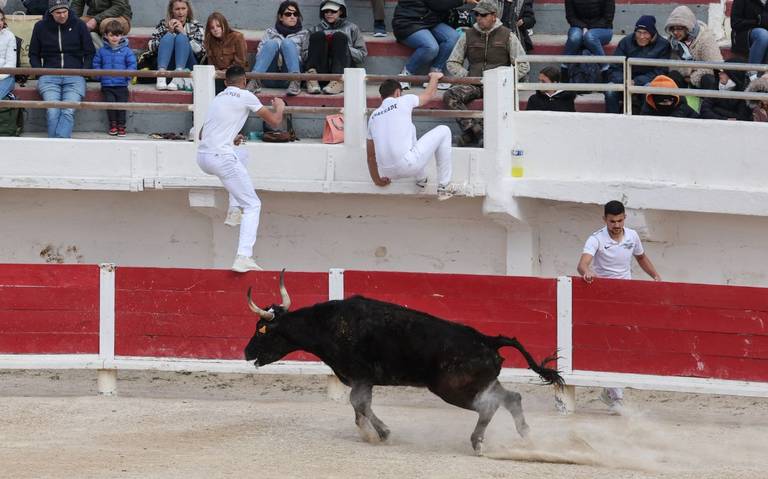 Gobierno de España elimina el Premio Nacional de Tauromaquia