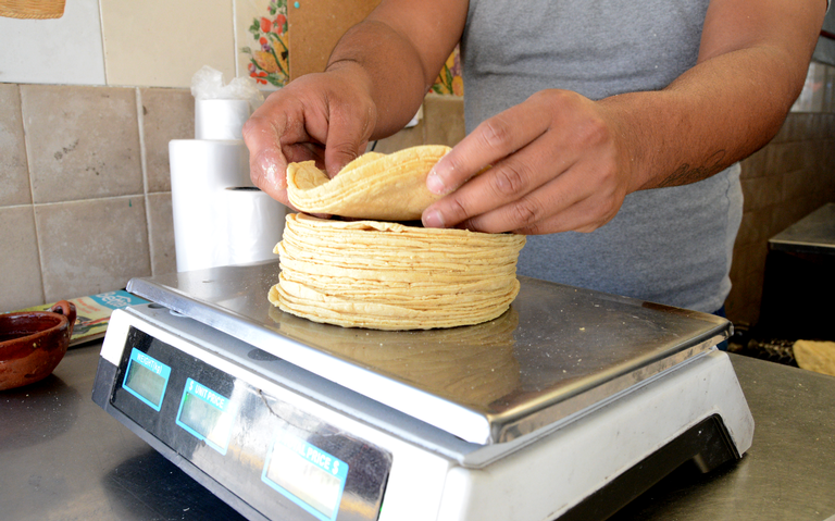 ¡A dieta obligada! Kilo de tortillas podría aumentar 4 pesos