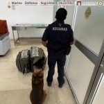 Aseguran más de 365 mil dólares ocultos en maletas en el aeropuerto de Oaxaca