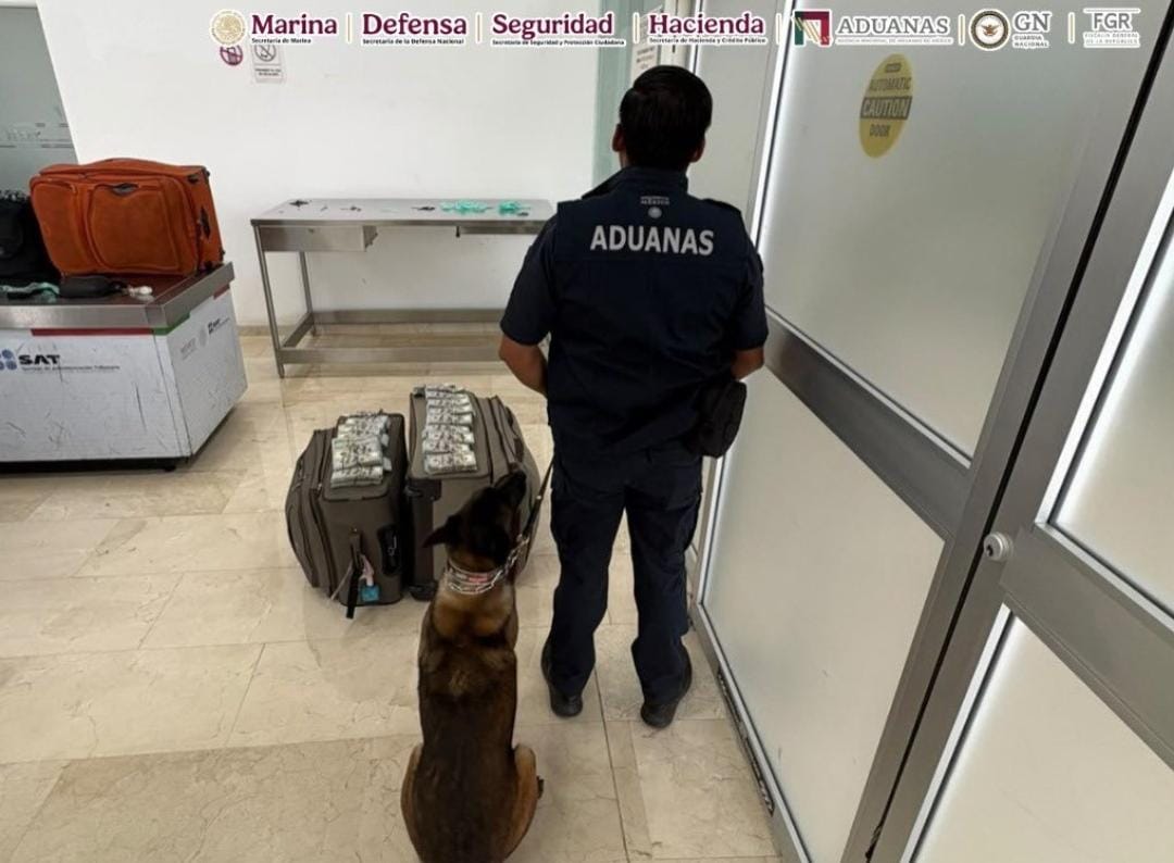 Aseguran más de 365 mil dólares ocultos en maletas en el aeropuerto de Oaxaca